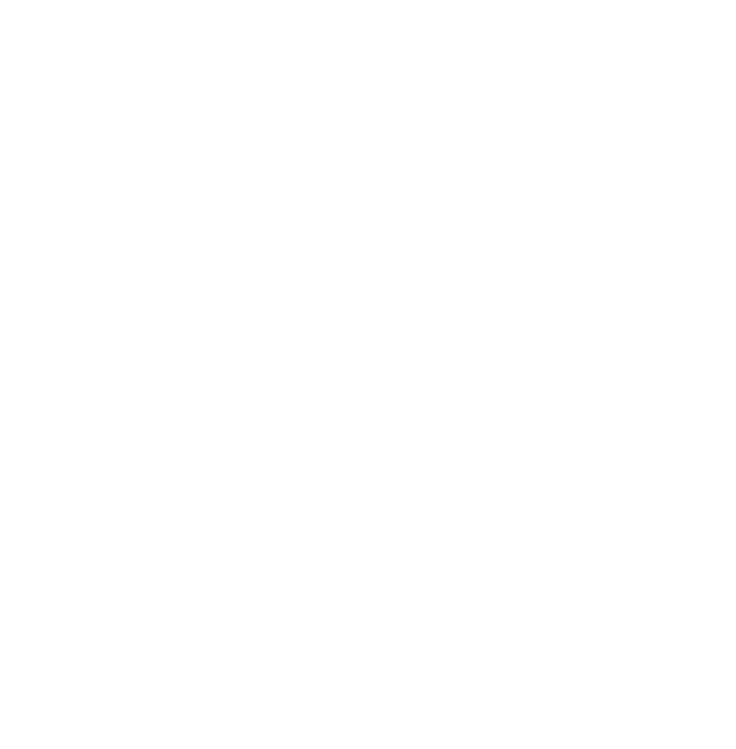logo valvanera